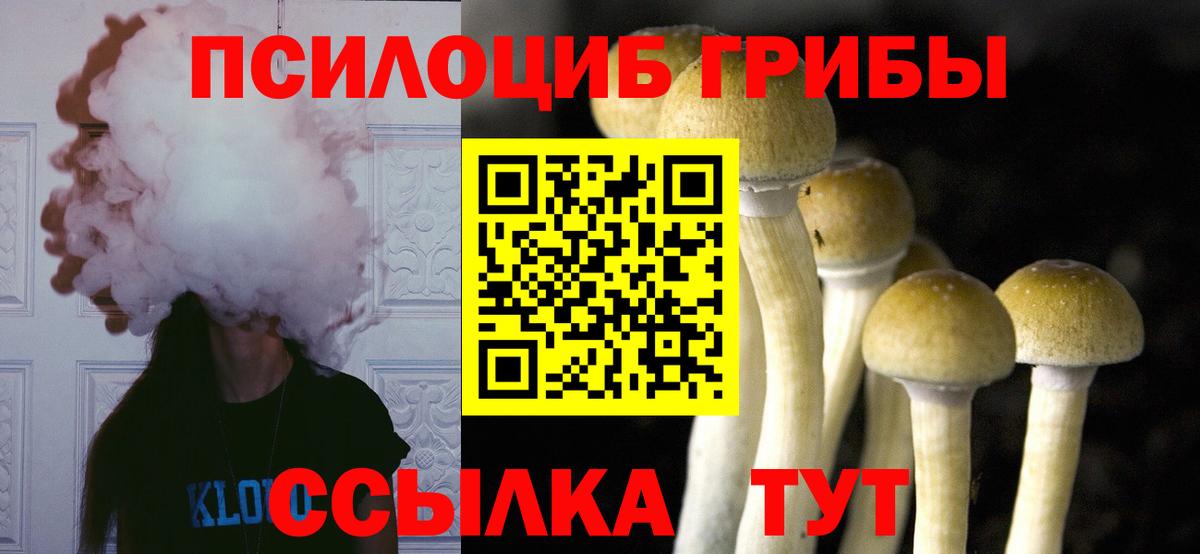 Галлюциногенные грибы Psilocybine cubensis  Псилоцибиновые грибы GOLDEN TEACHER  Звенигород  Вход с VPN 